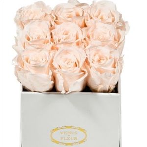 Brand new! Venus et fleur mini